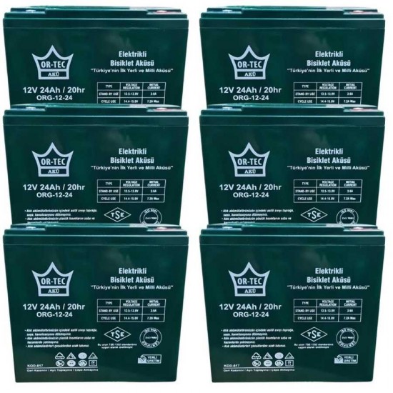 12V 24AH Elektrikli Motosiklet Aküsü 6' lı Set