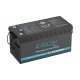22055 Exelon 24V 100 Ah Lityum Akü